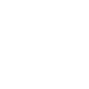 Icono