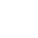 Icono