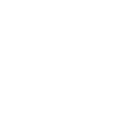Icono