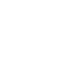 Icono