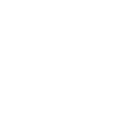 Icono